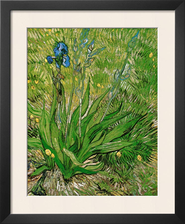 The Iris - Van Gogh Painting On Canvas